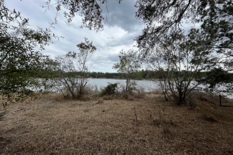 Land in Hawthorne, Florida № 766373 - photo 1