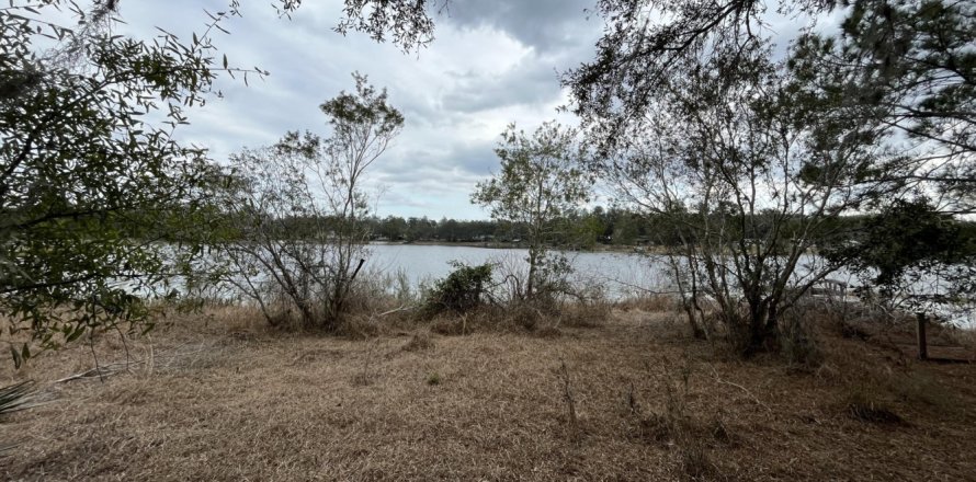 Land in Hawthorne, Florida № 766373