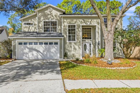 House in Tampa, Florida 4 bedrooms, 213.86 sq.m. № 2117478