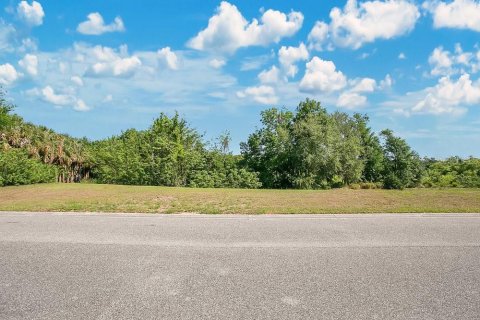 Land in Windermere, Florida № 1636579 - photo 17