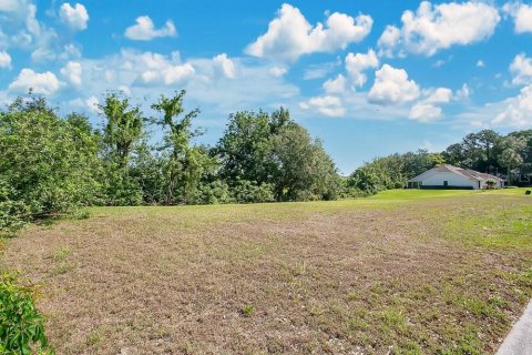 Land in Windermere, Florida № 1636579 - photo 18