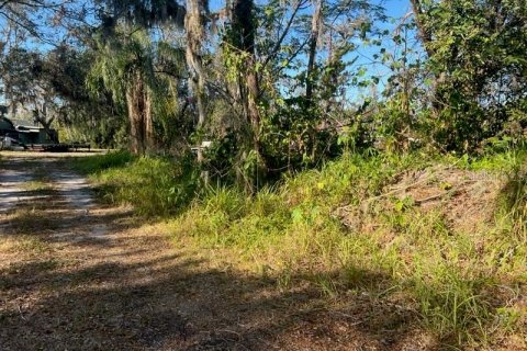 House in Sarasota, Florida 5 bedrooms, 234.49 sq.m. № 1724080 - photo 3