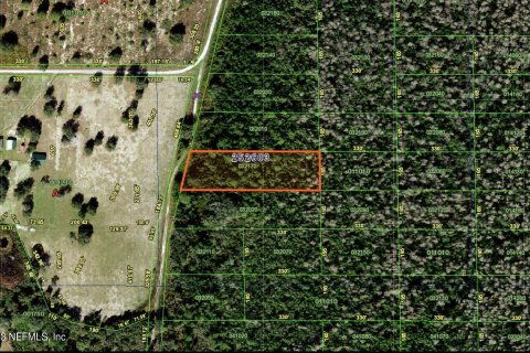 Land in Polk City, Florida № 849224 - photo 1