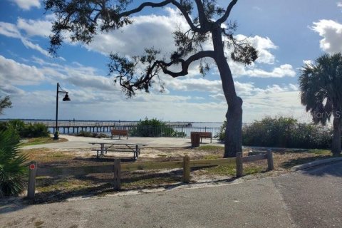 Appartement à louer à Port Charlotte, Floride: 1 chambre, 63.17 m2 № 2135937 - photo 18