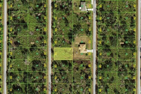 Land in Port Charlotte, Florida № 2235225 - photo 2