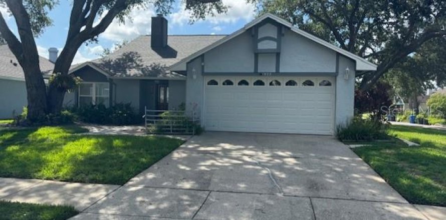 House in Brandon, Florida 3 bedrooms, 182.92 sq.m. № 1803426