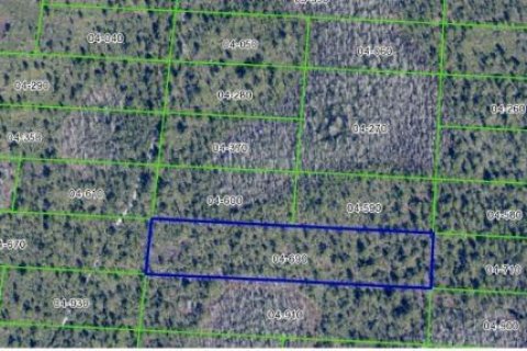 Land in Orlando, Florida № 1535423 - photo 6