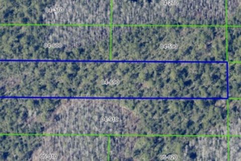 Land in Orlando, Florida № 1535423 - photo 2