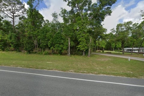 Terreno en venta en Fort White, Florida № 1813025 - foto 2