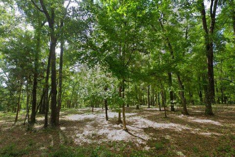 Terreno en venta en Fort White, Florida № 1813025 - foto 5