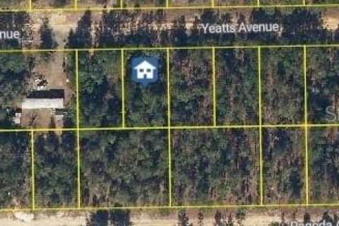 Land in Interlachen, Florida № 2163845