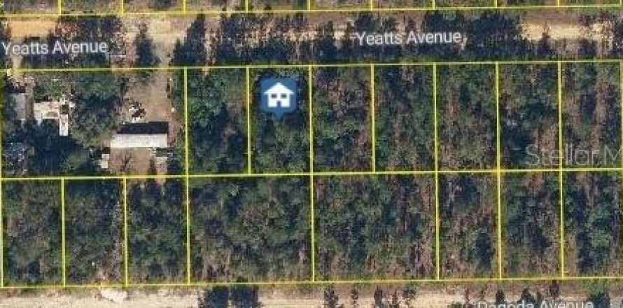 Land in Interlachen, Florida № 2163845