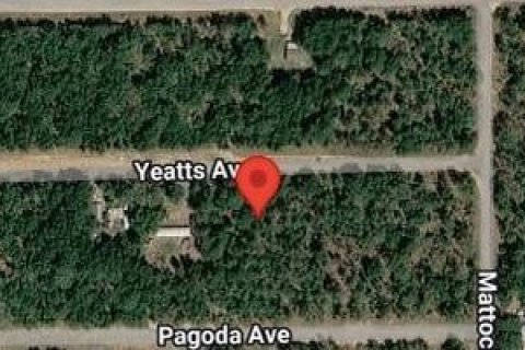 Land in Interlachen, Florida № 2163845 - photo 2