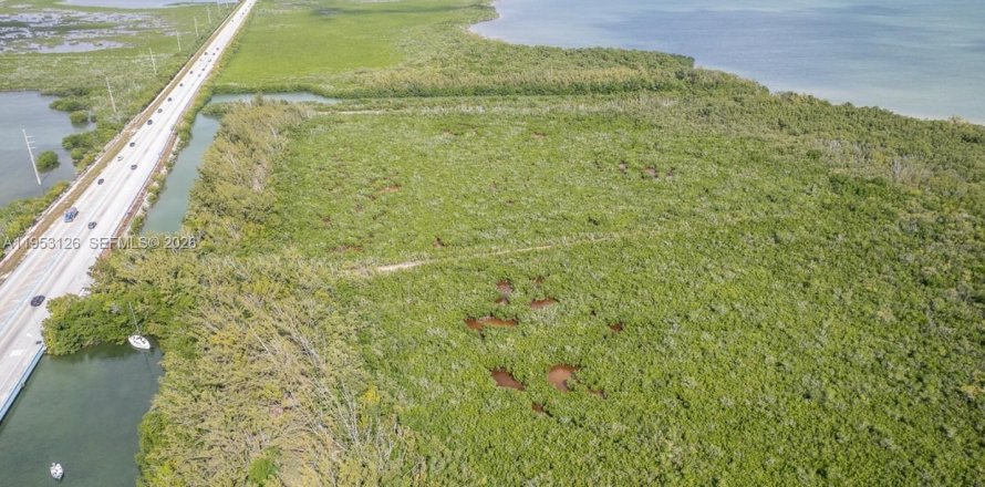 Terreno en Miami, Florida № 2007961