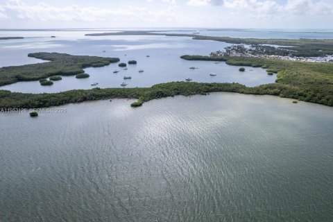 Terreno en venta en Miami, Florida № 2007961 - foto 3