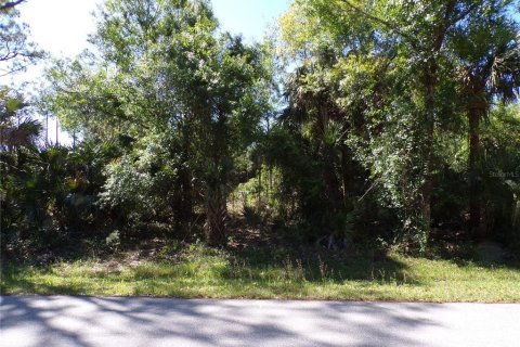 Land in Punta Gorda, Florida № 2228896 - photo 2