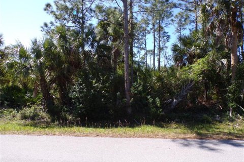 Land in Punta Gorda, Florida № 2228896 - photo 8