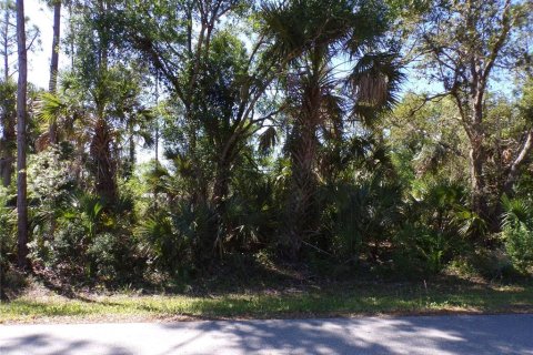 Land in Punta Gorda, Florida № 2228896 - photo 6