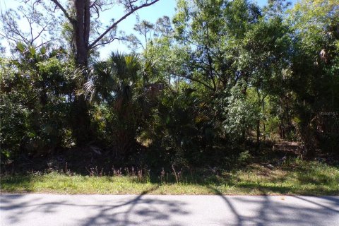 Land in Punta Gorda, Florida № 2228896 - photo 5
