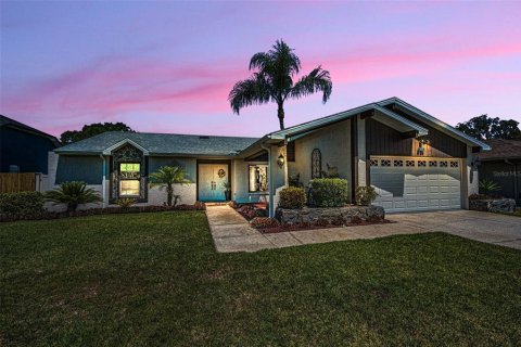 House in New Port Richey, Florida 3 bedrooms, 189.15 sq.m. № 1911072 - photo 1