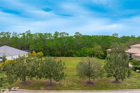Terreno en venta en Bradenton, Florida № 941354 - foto 11