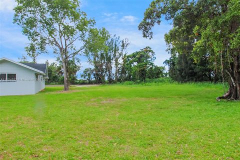 Immobilier commercial à vendre à Miami, Floride № 1874146 - photo 6