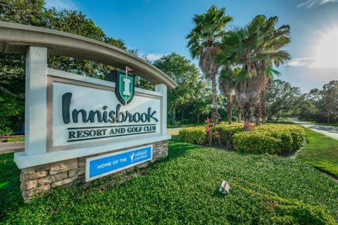 Copropriété à louer à Palm Harbor, Floride: 1 chambre, 56.67 m2 № 2430927 - photo 11