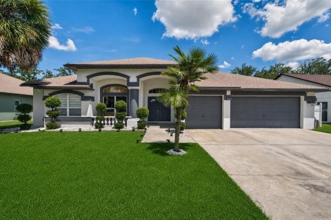 House in Valrico, Florida 4 bedrooms, 248.98 sq.m. № 2349189