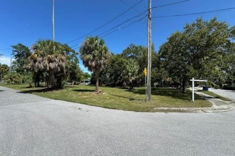 Land in Dunedin, Florida № 1919341 - photo 1