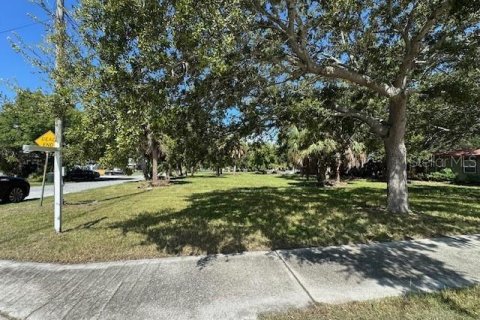 Land in Dunedin, Florida № 1919341 - photo 2