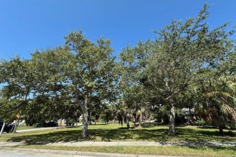 Land in Dunedin, Florida № 1919341 - photo 3