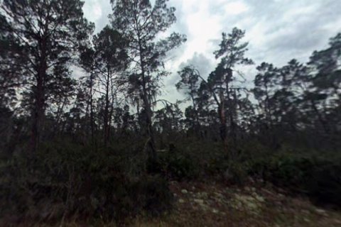 Land in Sebring, Florida № 2165203