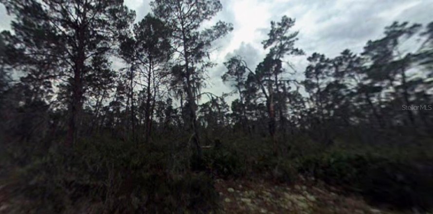 Land in Sebring, Florida № 2165203