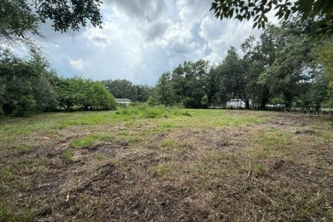 Villa ou maison à vendre à Plant City, Floride: 4 chambres, 200.95 m2 № 1827915 - photo 4