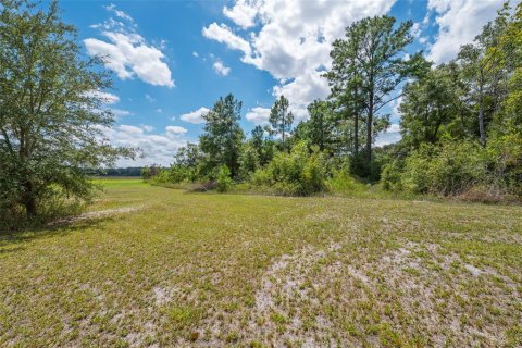 Casa en venta en Melrose, Florida, 2 dormitorios, 94.76 m2 № 1915682 - foto 23
