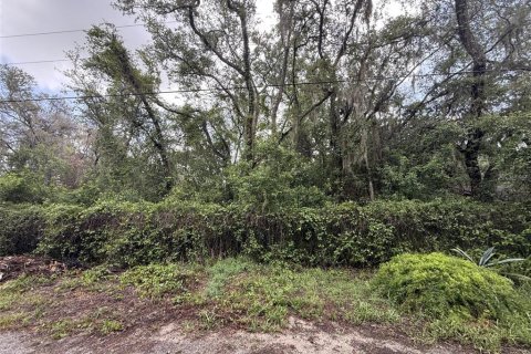 Land in New Port Richey, Florida № 2214136 - photo 3