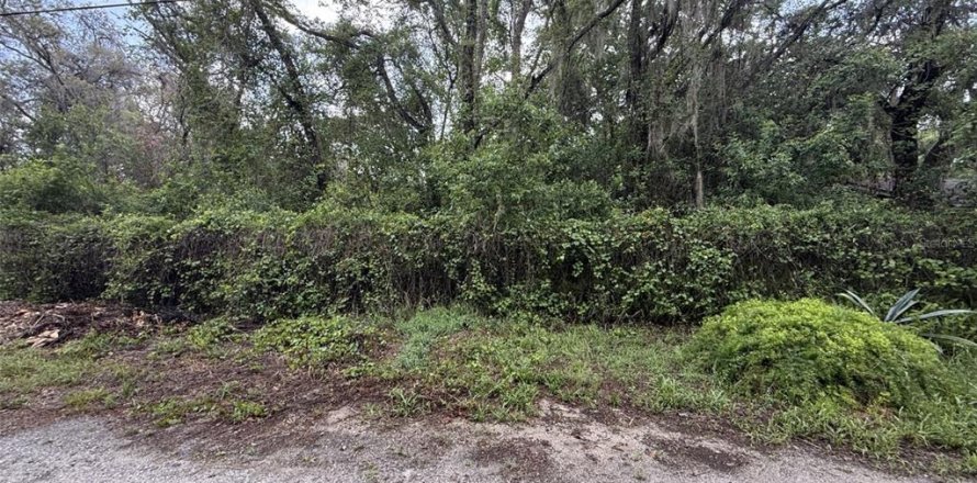 Land in New Port Richey, Florida № 2214136