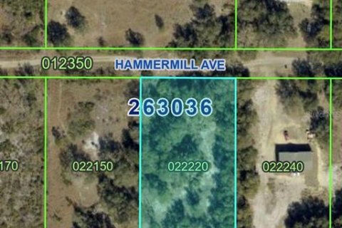 Land in Lake Wales, Florida № 2384428