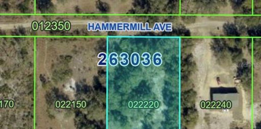 Land in Lake Wales, Florida № 2384428