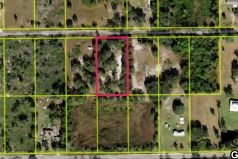 Land in Lake Wales, Florida № 2384428 - photo 2