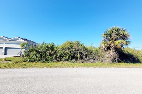 Land in Port Charlotte, Florida № 2205757