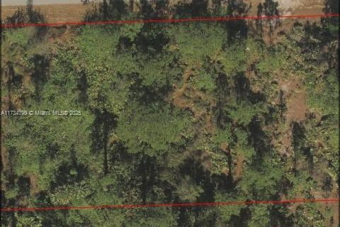 Land in Lehigh Acres, Florida № 1980550