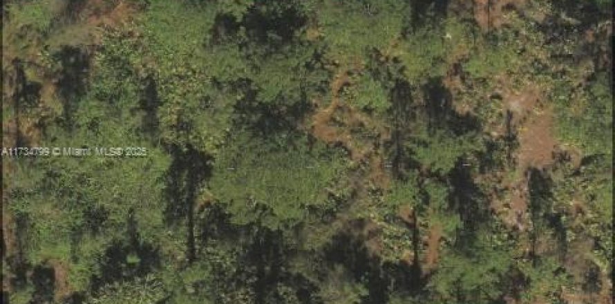 Land in Lehigh Acres, Florida № 1980550