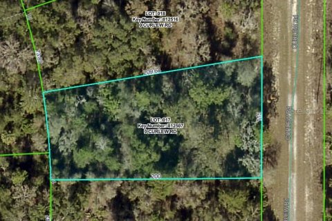 Land in Brooksville, Florida № 2164903