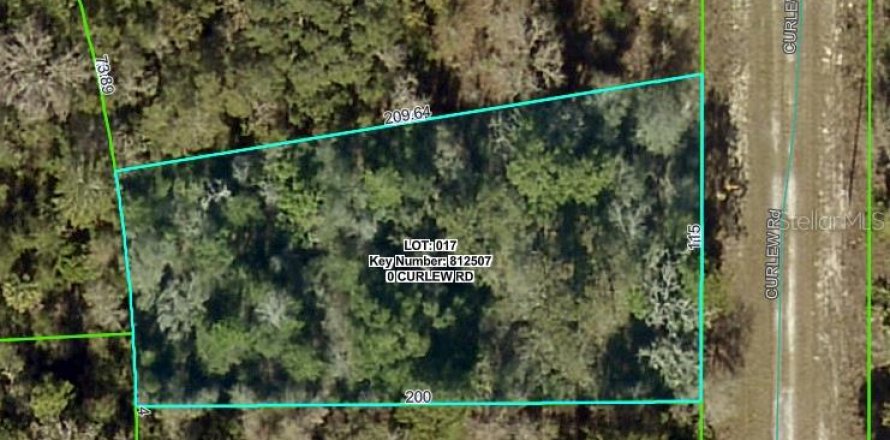Land in Brooksville, Florida № 2164903