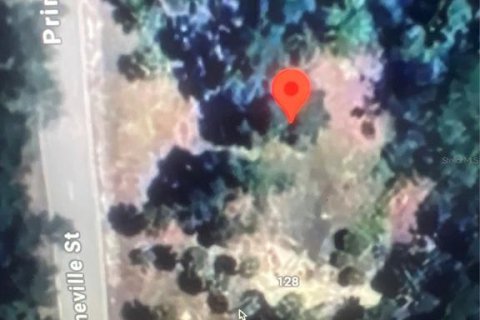 Land in Port Charlotte, Florida № 2162620 - photo 3