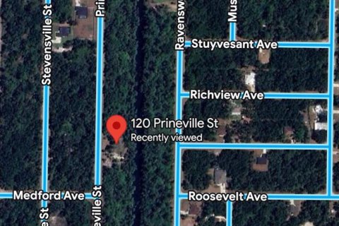 Land in Port Charlotte, Florida № 2162620 - photo 4