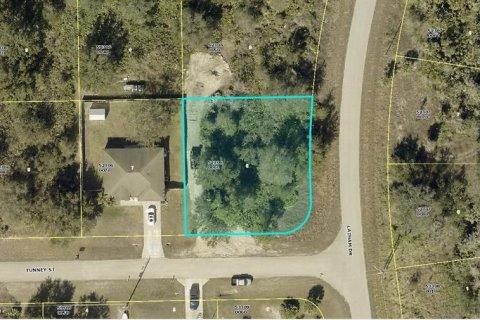 Land in Lehigh Acres, Florida № 2214410
