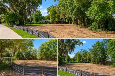 Terreno en Apopka, Florida № 2219174