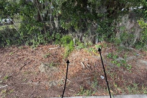Terrain à vendre à Apopka, Floride № 2219174 - photo 6